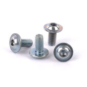 Frame mounting screws (pack of 4)