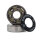 MVX | movemax SIX 6 Ball Speedlager