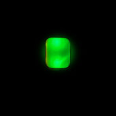 Powerslide Fothon LED Clip green