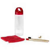 WCD Wicked Cleaning Set "The Wash"