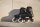 Powerslide Inlineskates Zoom Black 100 schwarz 37-38