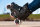 Powerslide Kinderskates Khaan Jr. Pro schwarz 39-42