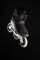 Powerslide Inlineskates Swell Stellar 110 47