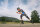 Powerslide Speed Skates Final 125