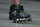 Rollerblade Inlineskates Macroblade 80 (Schwarz/Lime)