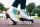 Chaya Rollschuh Bliss Adjustable Vanilla 39-42