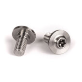 Powerslide Montageschraube Titan 2er-Pack (Torx T-25, 16mm)