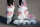Powerslide Inlineskate Phuzion Argon Rose 80 42