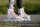 Powerslide Inlineskate Phuzion Argon Rose 80 42