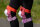 Powerslide Schützerset Standard (Rot/Pink) XL
