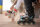 Powerslide Inliner Doop Skates Urban Eco 90 36-43