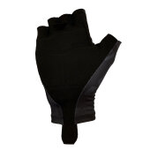 World Record Team Gloves 2025 (limited)